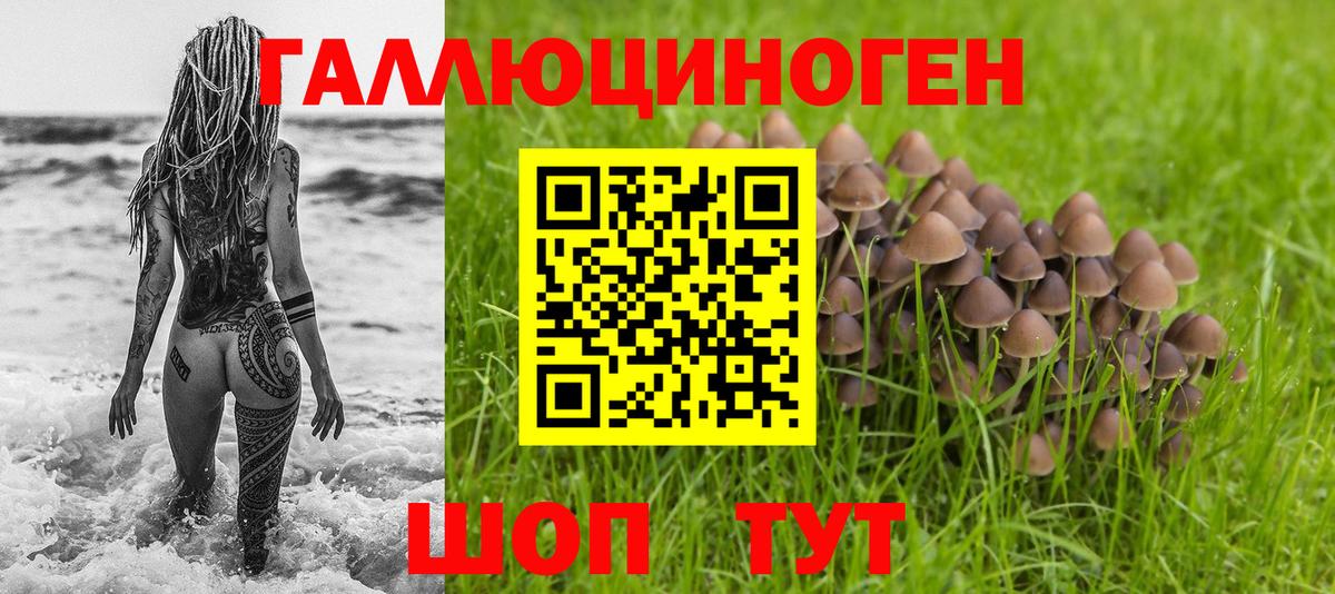 Чайковский  Псилоцибиновые грибы Cubensis  Вход с VPN 
